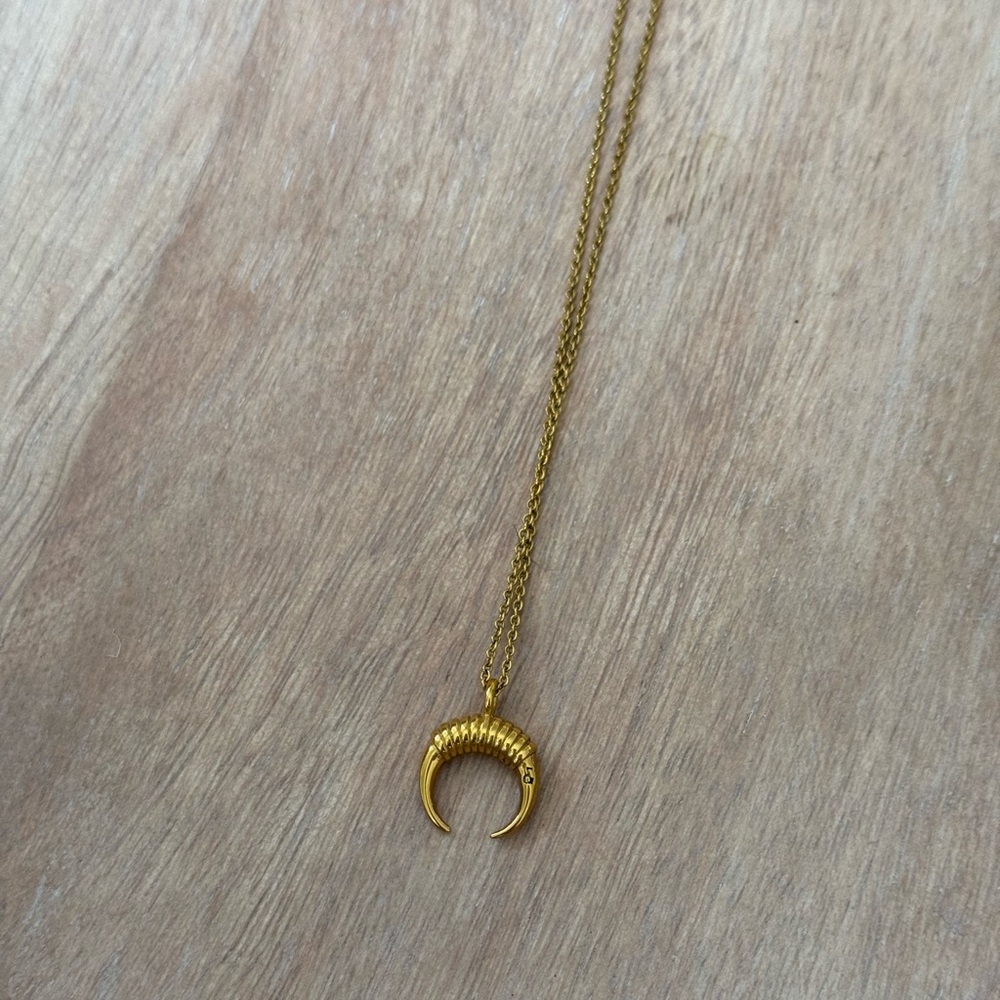 Delicate Small Gold Horn Necklace